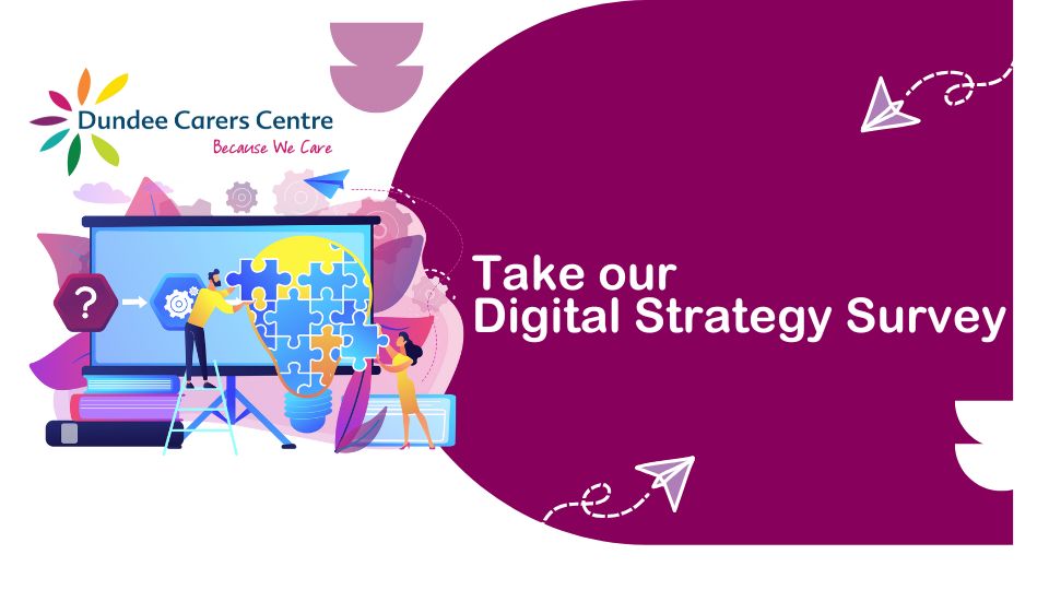Digital survey decorative graphic